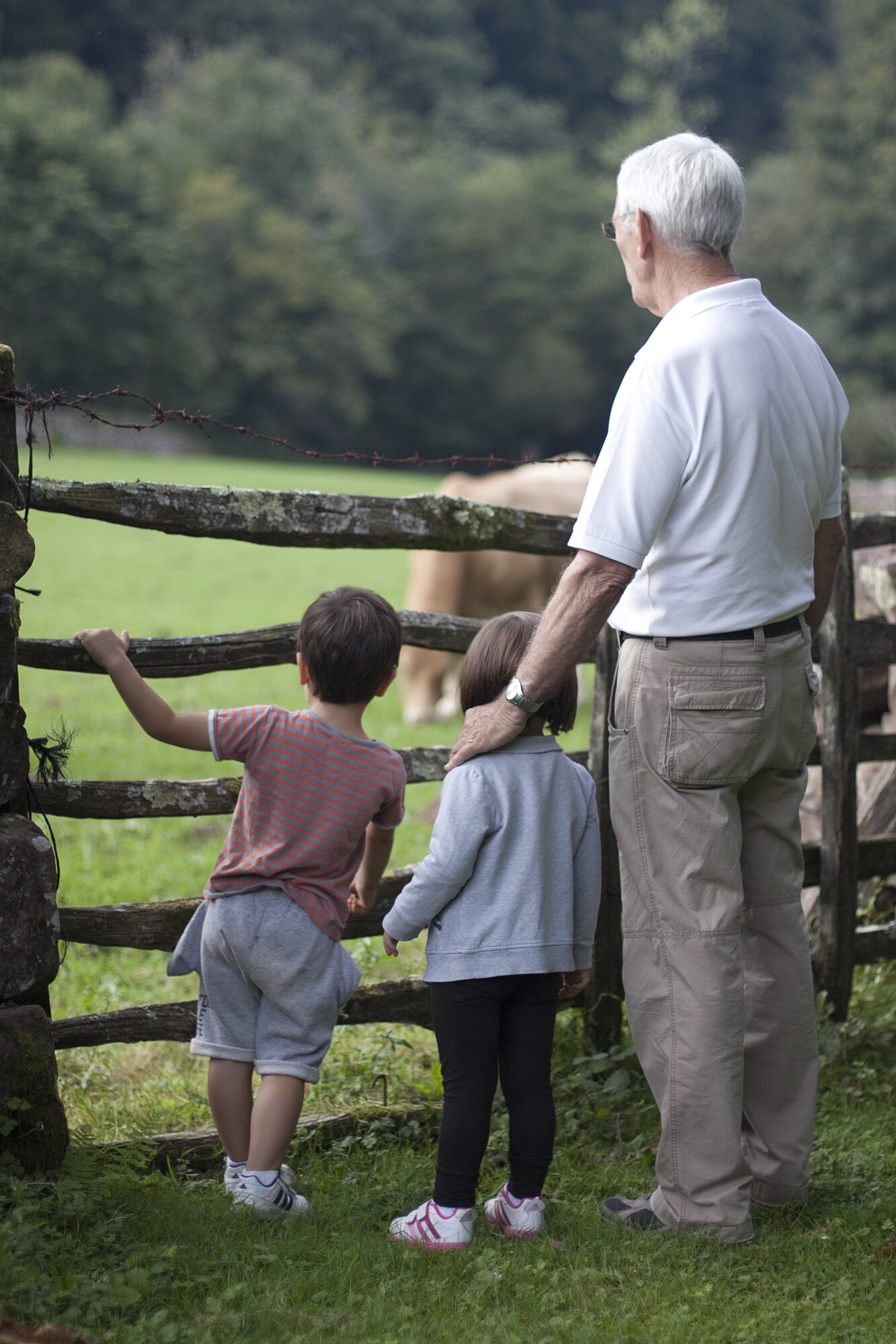 Sweet Shoot - Photo Art / Karyna GT - grandfather-with-grandchildren-2040914.jpg